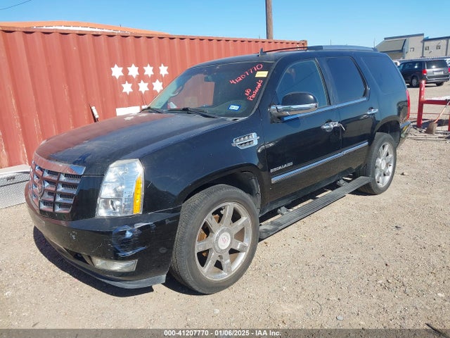 2011 CADILLAC ESCALADE 1GYS4CEF5BR321648 Photo 1