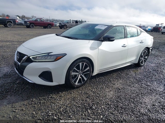 Nissan MAXIMA SV 2023 1N4AA6CV1PC511811 Image 2