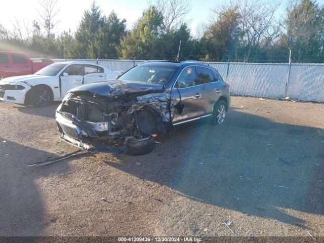 JN1BJ0RP0GM233341 Infiniti QX50