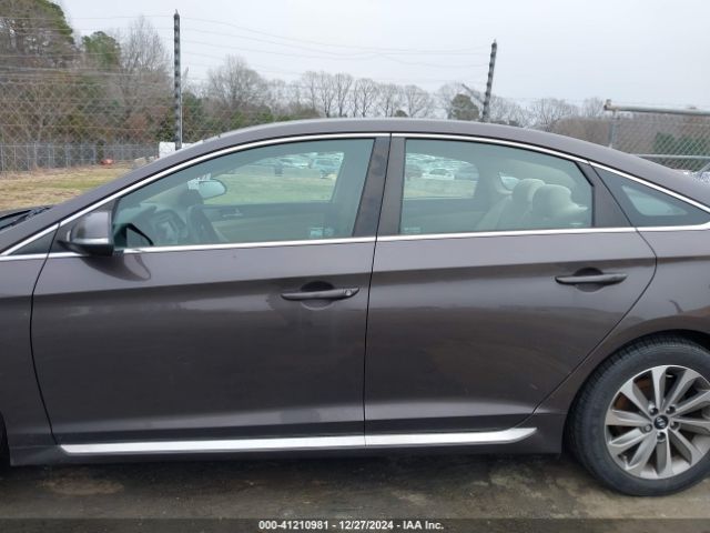 5NPE34AF6FH117634 Hyundai Sonata Sport/limited