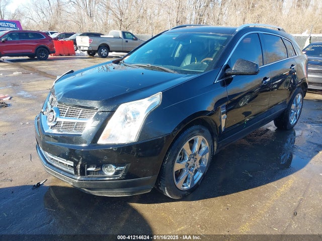 2011 CADILLAC SRX 3GYFNCEY2BS672806 Photo 1