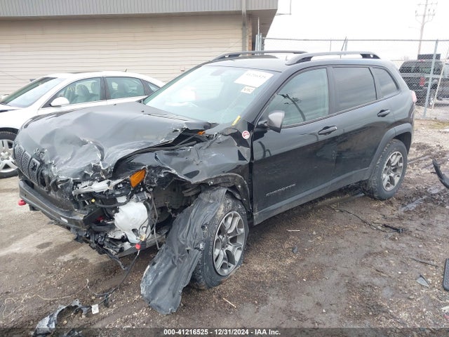 1C4PJMBXXLD522399 Jeep Cherokee Trailhawk