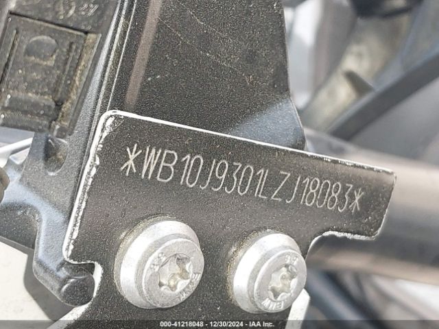 2020 BMW R 1250 WB10J9301LZJ18083 Photo 9