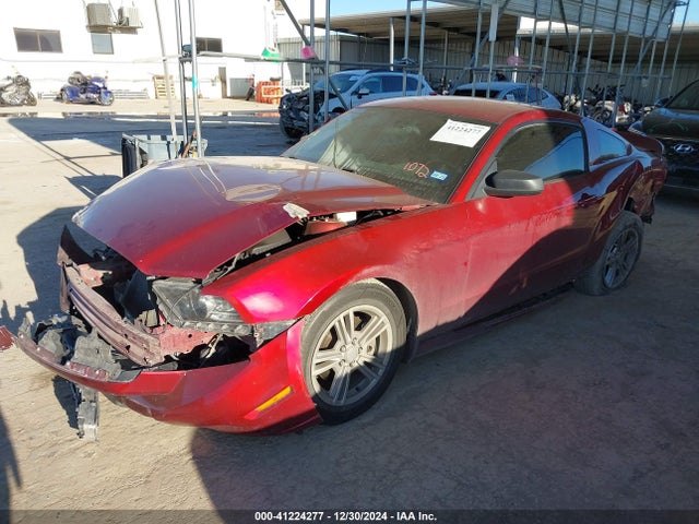1ZVBP8AM3E5217196 Ford Mustang V6