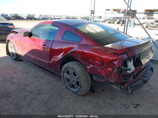 1ZVBP8AM3E5217196 Ford Mustang V6