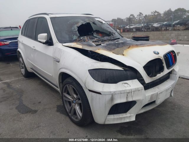 2010 BMW X5 M 5YMGY0C52ALK25509