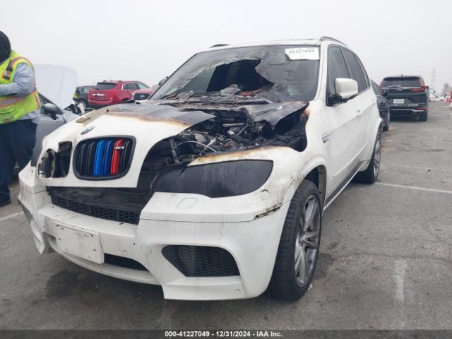 2010 BMW X5 M 5YMGY0C52ALK25509 Photo 1