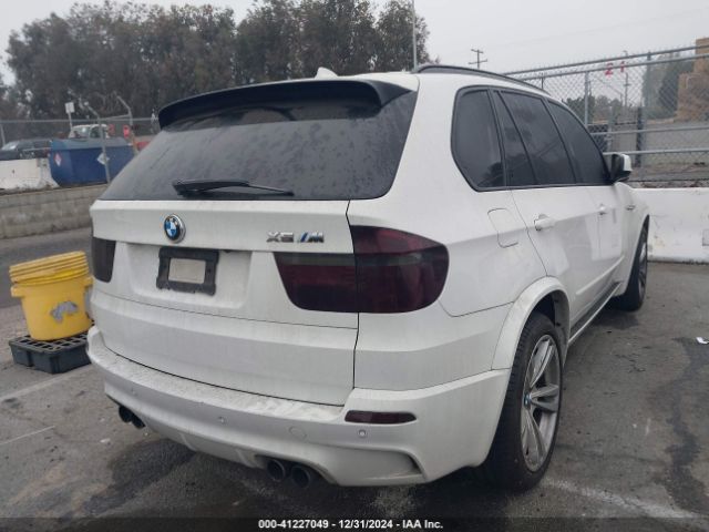 2010 BMW X5 M 5YMGY0C52ALK25509 Photo 3
