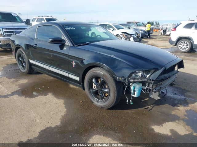 2013 FORD MUSTANG 1ZVBP8AM7D5220097