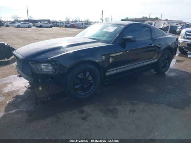 2013 FORD MUSTANG 1ZVBP8AM7D5220097 Photo 1