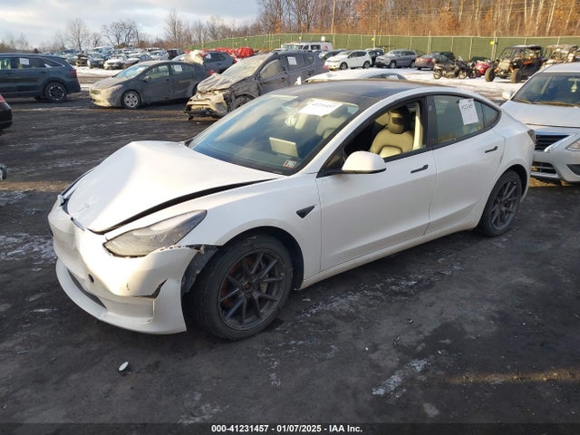 2022 TESLA MODEL 3 5YJ3E1EB8NF183736 Photo 1