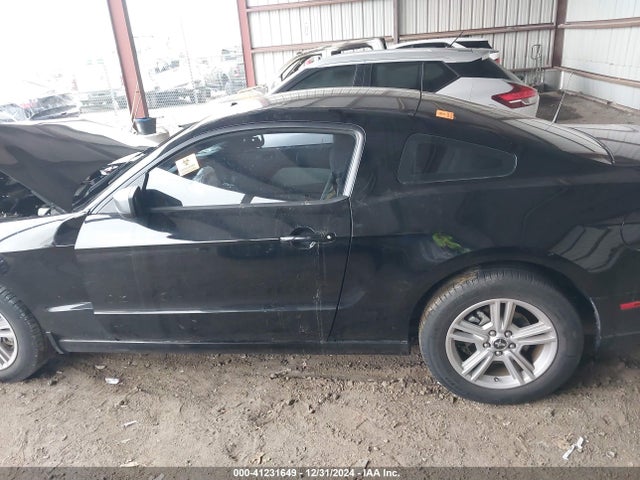 Ford Mustang V6 2014 1ZVBP8AM8E5332862 Image 13