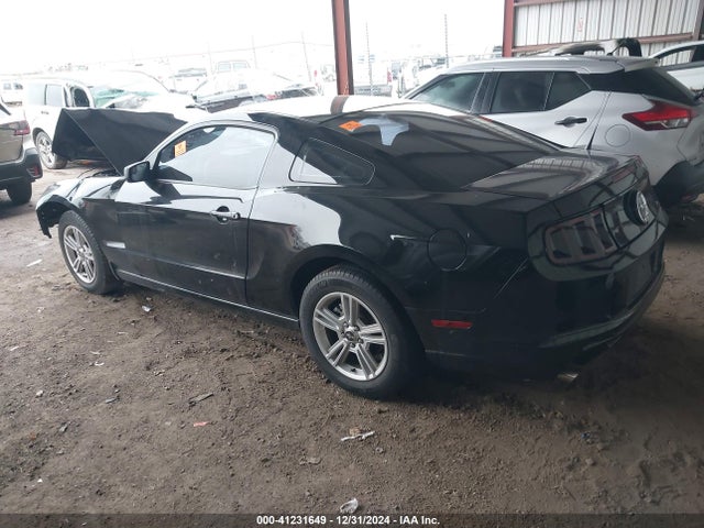 Ford Mustang V6 2014 1ZVBP8AM8E5332862 Image 3