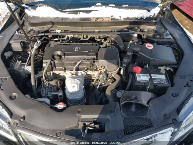 19UUB1F30FA028887 Acura TLX