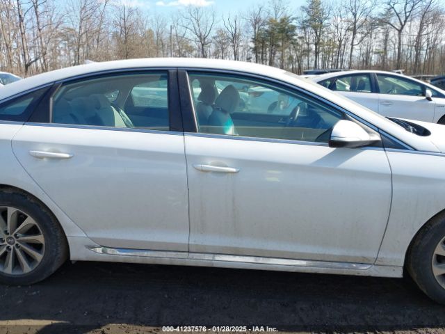 5NPE34AF0GH277073 Hyundai Sonata Sport/limited