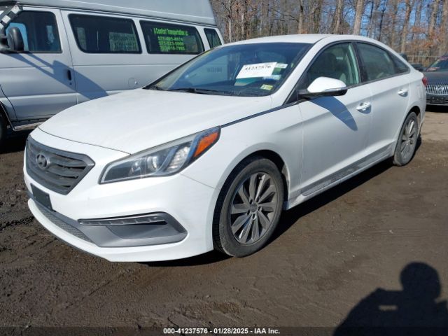 5NPE34AF0GH277073 Hyundai Sonata Sport/limited