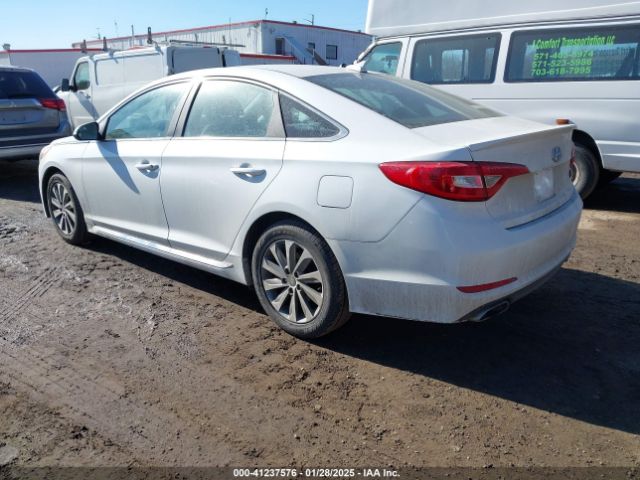 5NPE34AF0GH277073 Hyundai Sonata Sport/limited