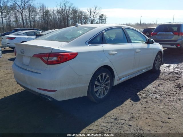 5NPE34AF0GH277073 Hyundai Sonata Sport/limited