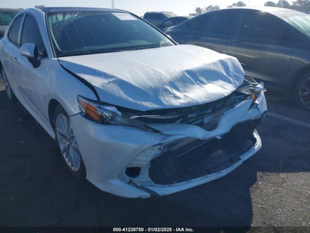 4T1B11HK7KU789014 Toyota CAMRY XLE