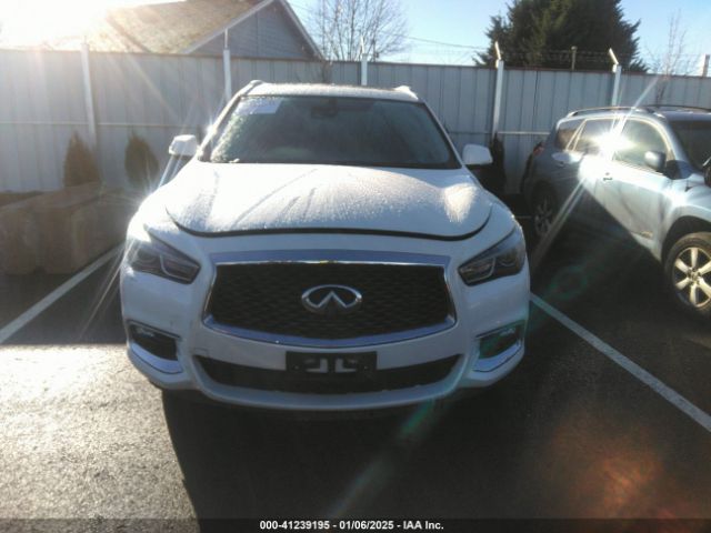 5N1DL0MM0KC555260 Infiniti QX60 LUXE