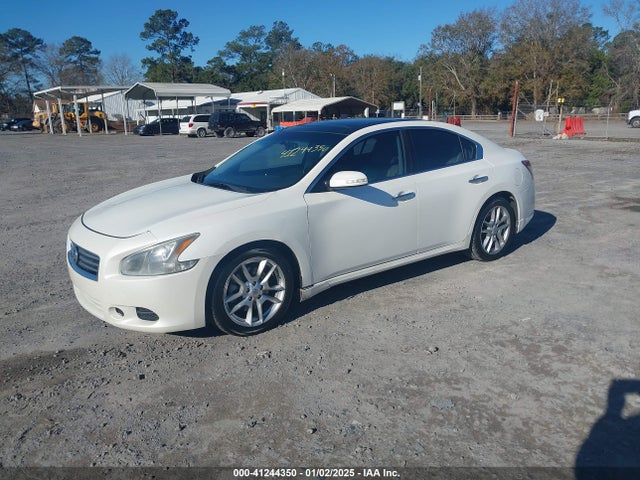Auction sale of the 2011 Nissan Maxima 3.5 Sv, vin: 1N4AA5AP8BC856485, lot number: 41244350
