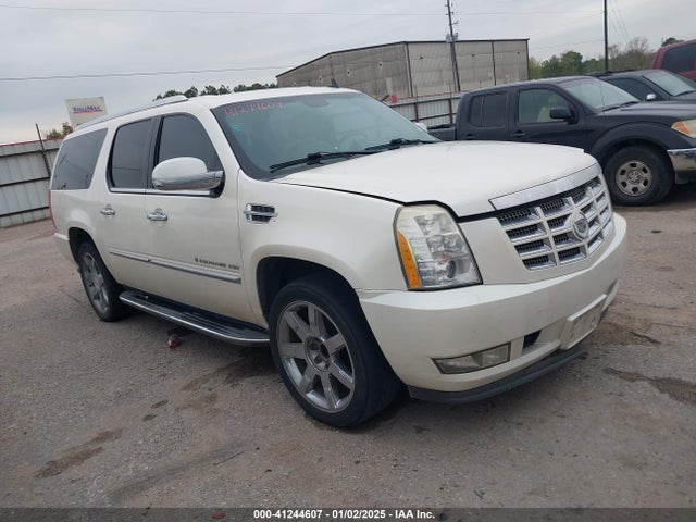 2009 CADILLAC ESCALADE ESV 1GYFC26249R200100 Photo 0