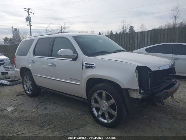 2010 CADILLAC ESCALADE HYBRID 1GYUKEEJ8AR169281