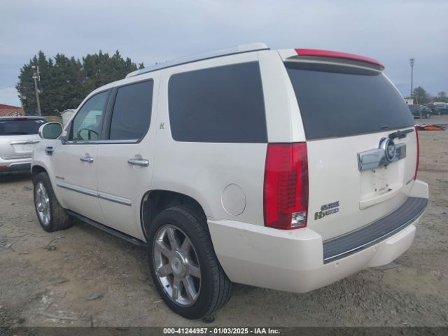 2010 CADILLAC ESCALADE HYBRID 1GYUKEEJ8AR169281 Photo 2