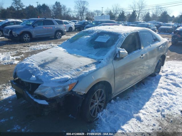 4T1BK1FK6EU026342 Toyota Camry Xle V6