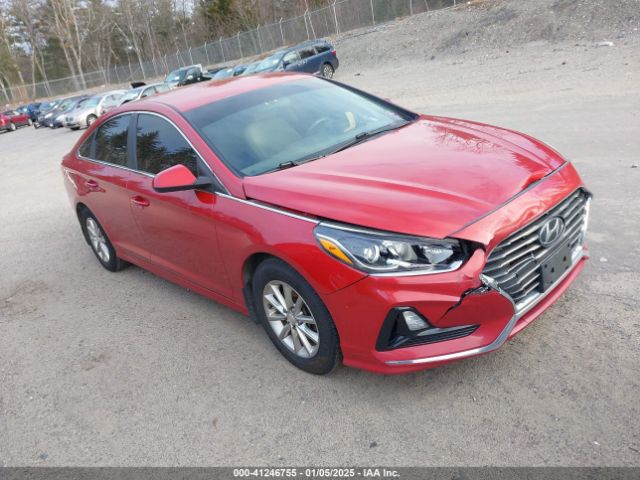 2019 HYUNDAI SONATA 5NPE24AF5KH804794