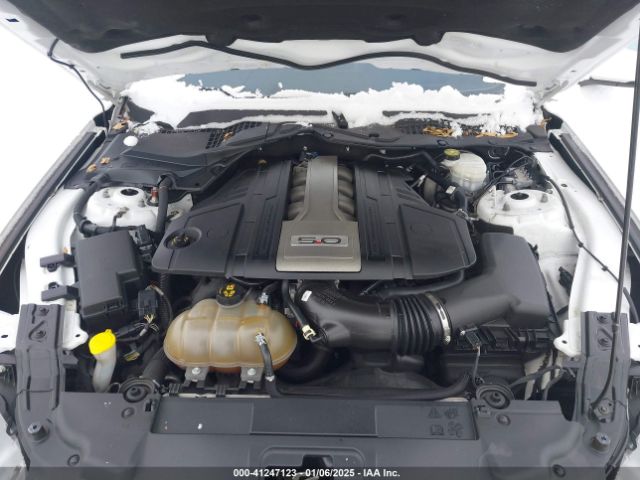 1FA6P8CFXK5195668 Ford Mustang Gt Premium