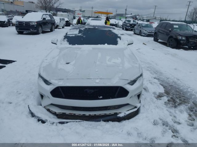 1FA6P8CFXK5195668 Ford Mustang Gt Premium