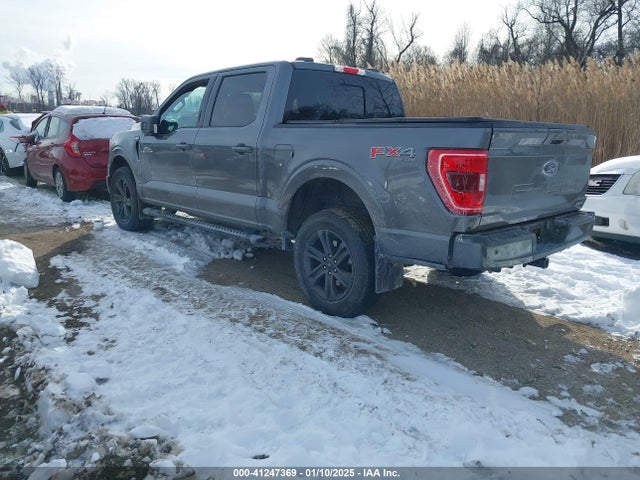 Ford F-150 Xlt 2023 1FTFW1E88PFD03838 Image 3