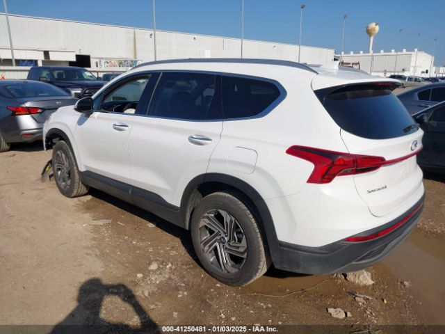 5NMS24AJ4PH516874 Hyundai Santa Fe Sel