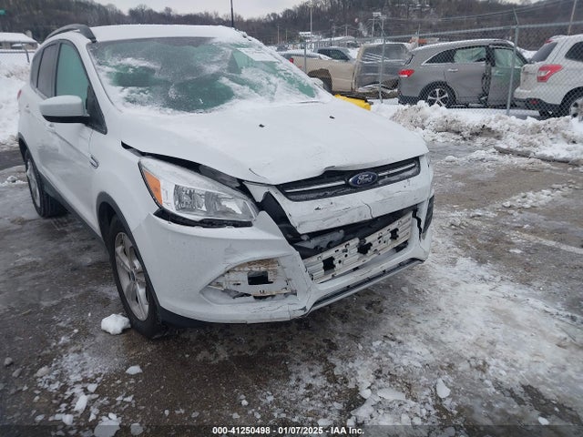 Ford ESCAPE SE 2014 1FMCU0GX9EUD22314 Image 6