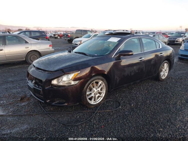 1N4AA5AP8EC491004 Nissan Maxima 3.5 S/3.5 Sv
