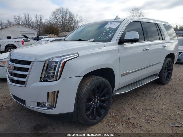 2016 CADILLAC ESCALADE 1GYS4BKJ0GR356379 Photo 1