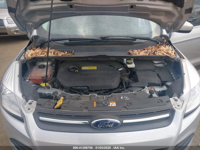 Ford ESCAPE SE 2014 1FMCU9GXXEUC33856 Image 10