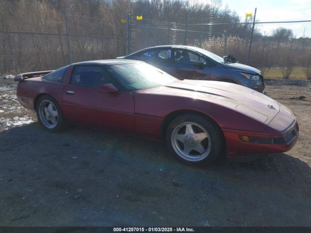1991 CHEVROLET CORVETTE 1G1YY238XM5114310