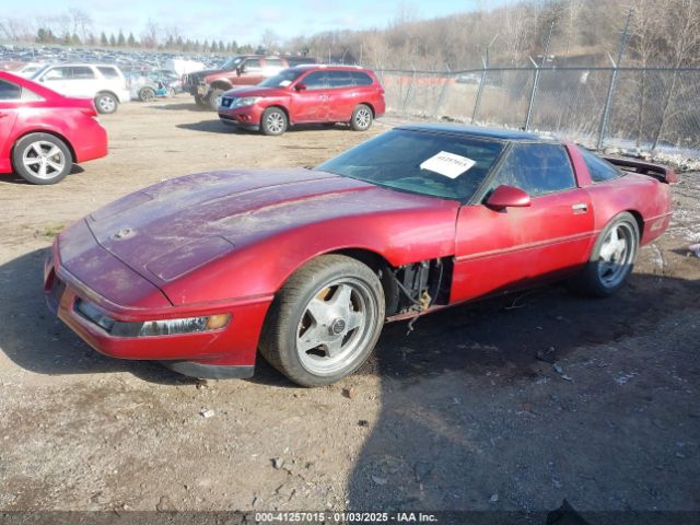 1991 CHEVROLET CORVETTE 1G1YY238XM5114310 Photo 1