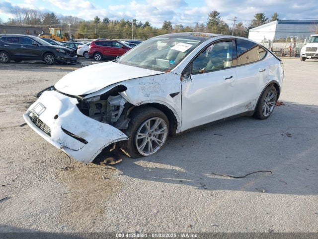 2023 TESLA MODEL Y 7SAYGDEE8PA037965 Photo 1