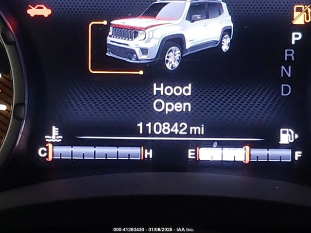 ZACNJBC11LPL46296 Jeep Renegade Trailhawk 4x4