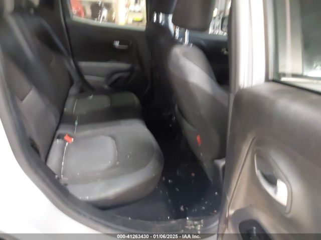 ZACNJBC11LPL46296 Jeep Renegade Trailhawk 4x4