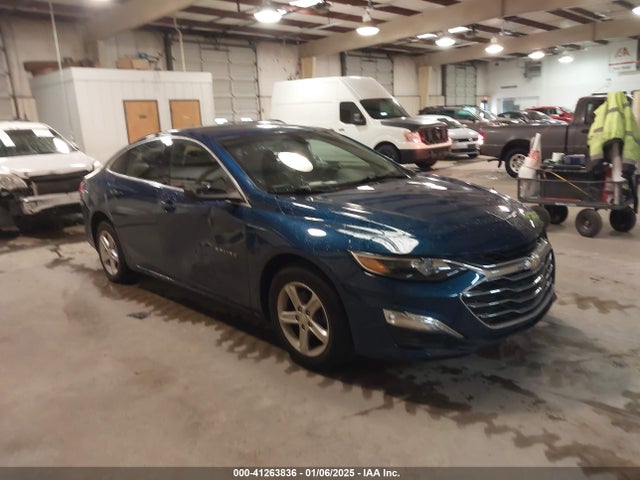 2019 1G1ZB5ST0KF209866 главное изображение