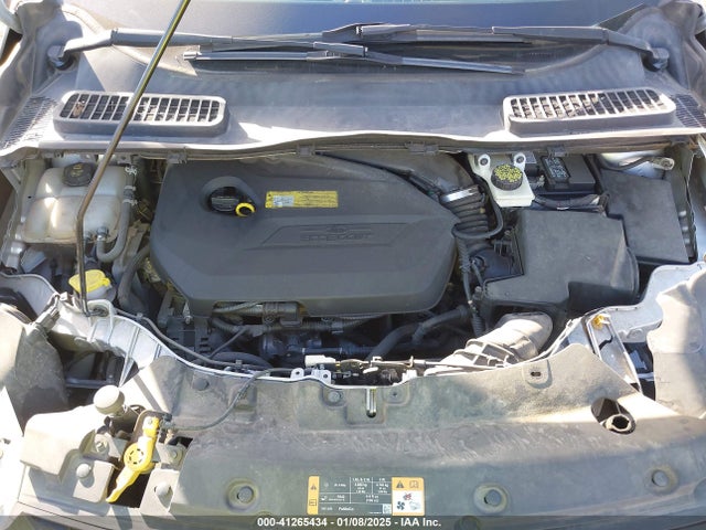 Ford ESCAPE SE 2014 1FMCU0GX7EUA38972 Image 10