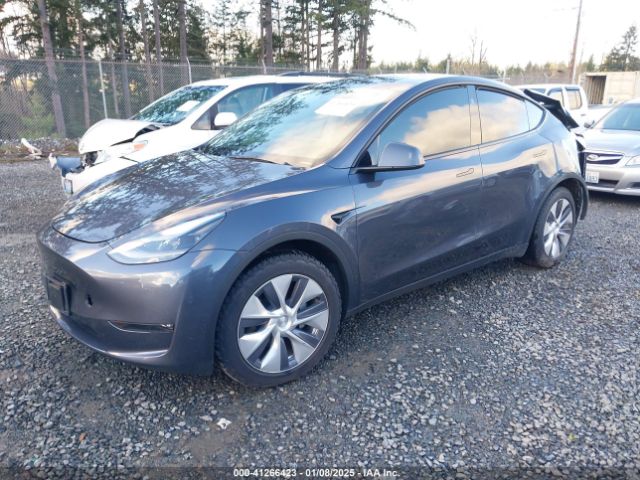 2023 TESLA MODEL Y 7SAYGDEE5PF913748 Photo 1