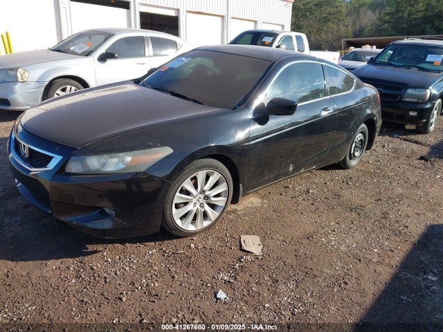 Продажа на аукционе авто 2010 Honda Accord 3.5 Ex-l, vin: 1HGCS2B82AA010550, номер лота: 41267680
