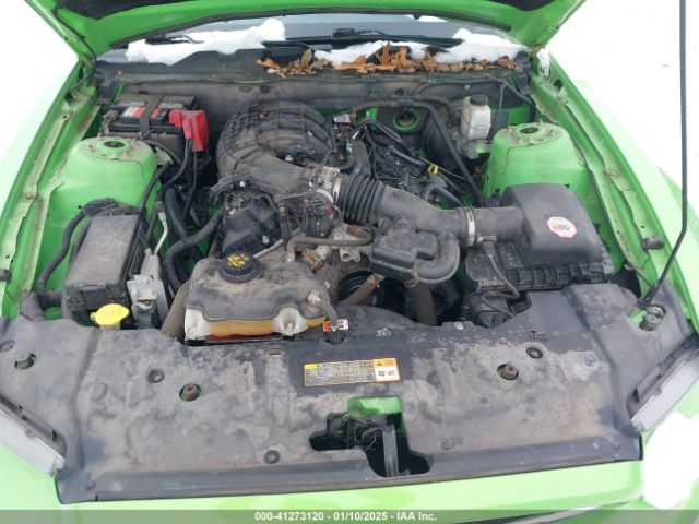 1ZVBP8AM0E5226177 Ford Mustang V6