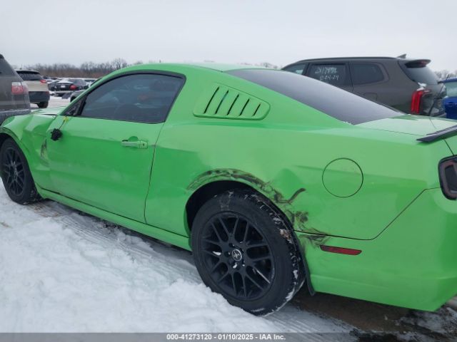 1ZVBP8AM0E5226177 Ford Mustang V6