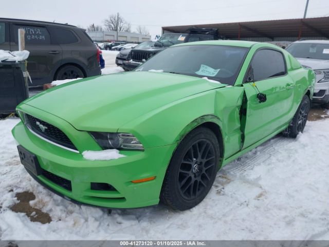 1ZVBP8AM0E5226177 Ford Mustang V6